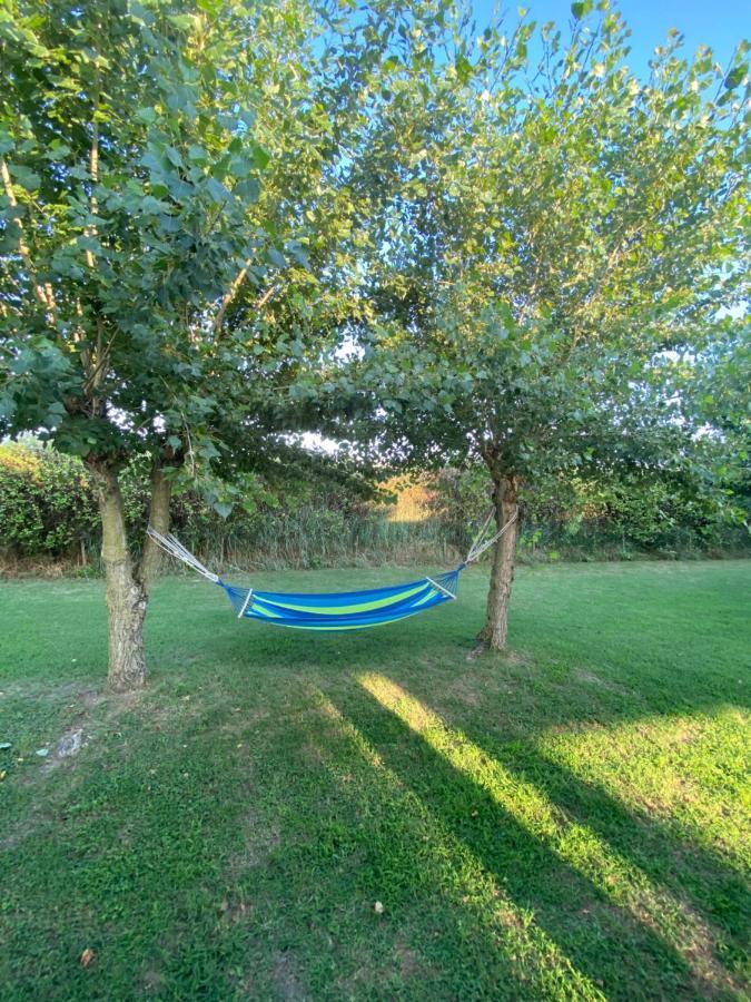 Bed and Breakfast Tra Campagna E Mare à Lido delle Nazioni Extérieur photo